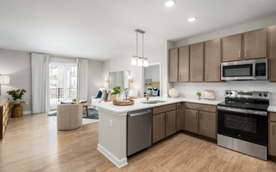 Unveiling Luxury: Our New 2-Bedroom Floor Plans